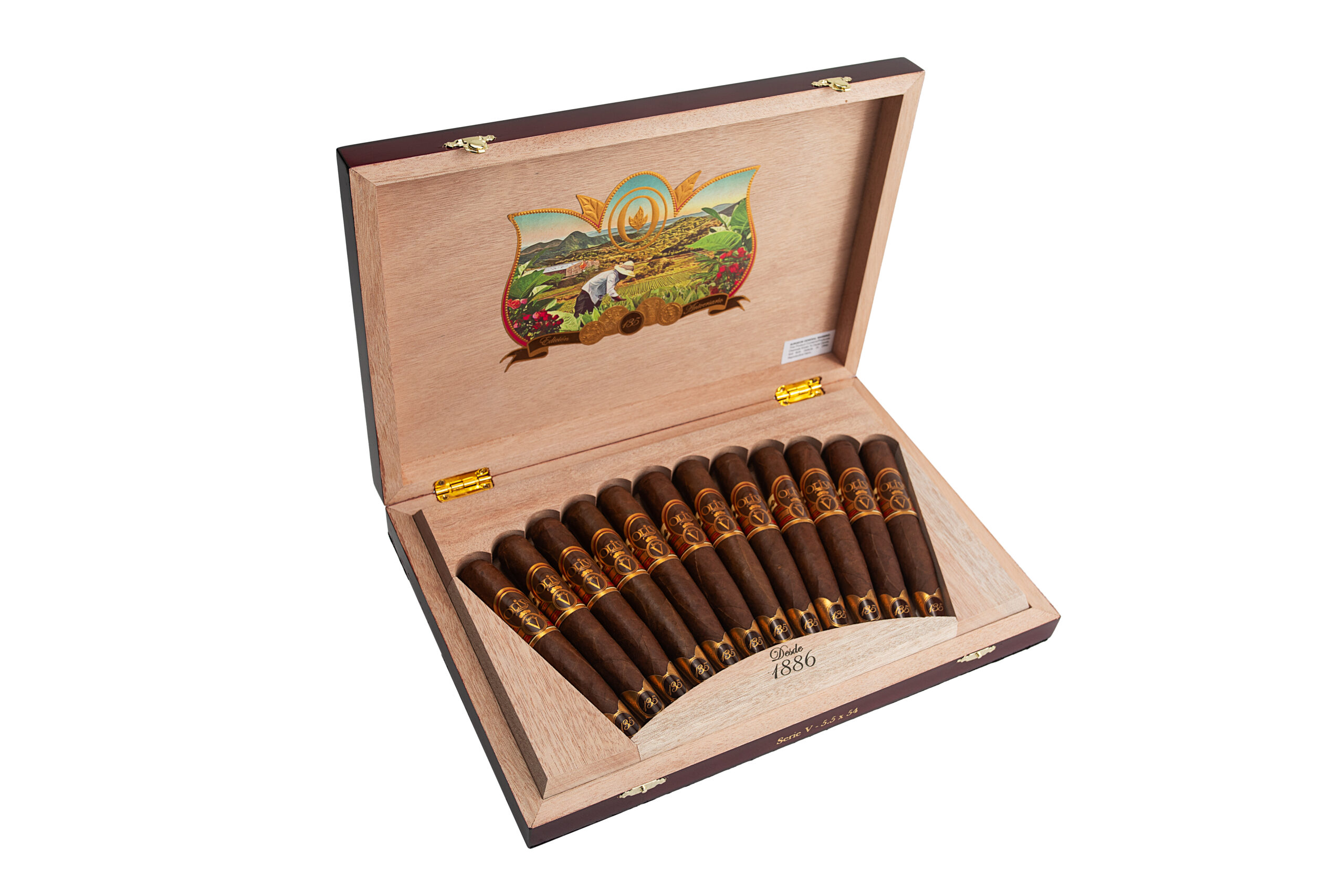 Oliva 135 Anniversario 5.5 x 54